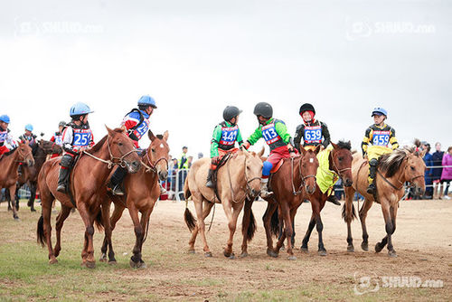 Унаач хүүхдийн эцэг эх, асран хамгаалагчтай гэрээ байгуулна
